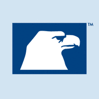American Equity Investment Life Holding Company logo