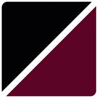 Anderson OBrien Law Firm logo