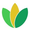 Contra Costa Family Justice Center logo