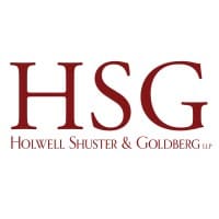 Holwell Shuster & Goldberg, LLP logo