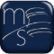 Miller & Stevens, PA logo
