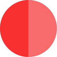 Papaya Global logo