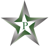 The Payne Firm, PC logo