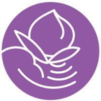 Self-Help for the Elderly logo