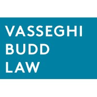 Vasseghi Budd, PLLC logo